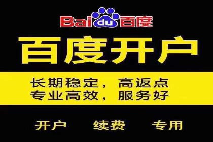 实战经验：竞价推广公司成功案例解析